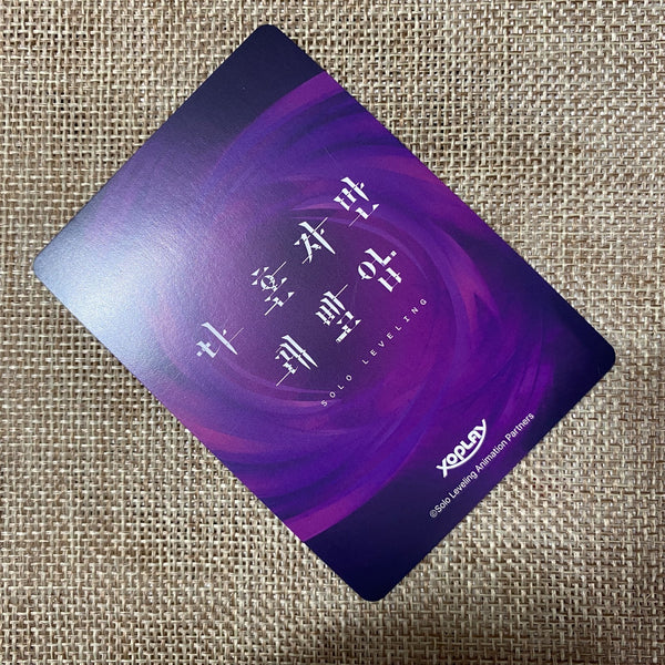 Solo Leveling SL01-02 Cha Hae-in / AR Card (1pc)  Authentic Super Rare / Gift