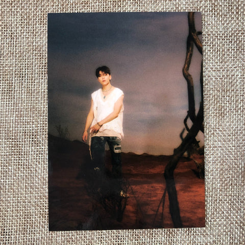 SEVENTEEN VERNON #2 [ Face the Sun ] Official Photocard, 4th / New / Gift