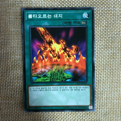 Yugioh Burning Land / 15AY-KRA31 / Common Rare / Korean Ver / Mint / Gift