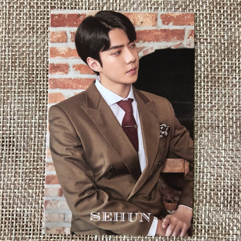 EXO SEHUN [ 2020 Season's Greetings ] Official Limited Photocard / New / Gift