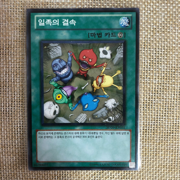 Yugioh Solidarity / SD20-KR031 / Common Rare / Korean / Mint / Gift
