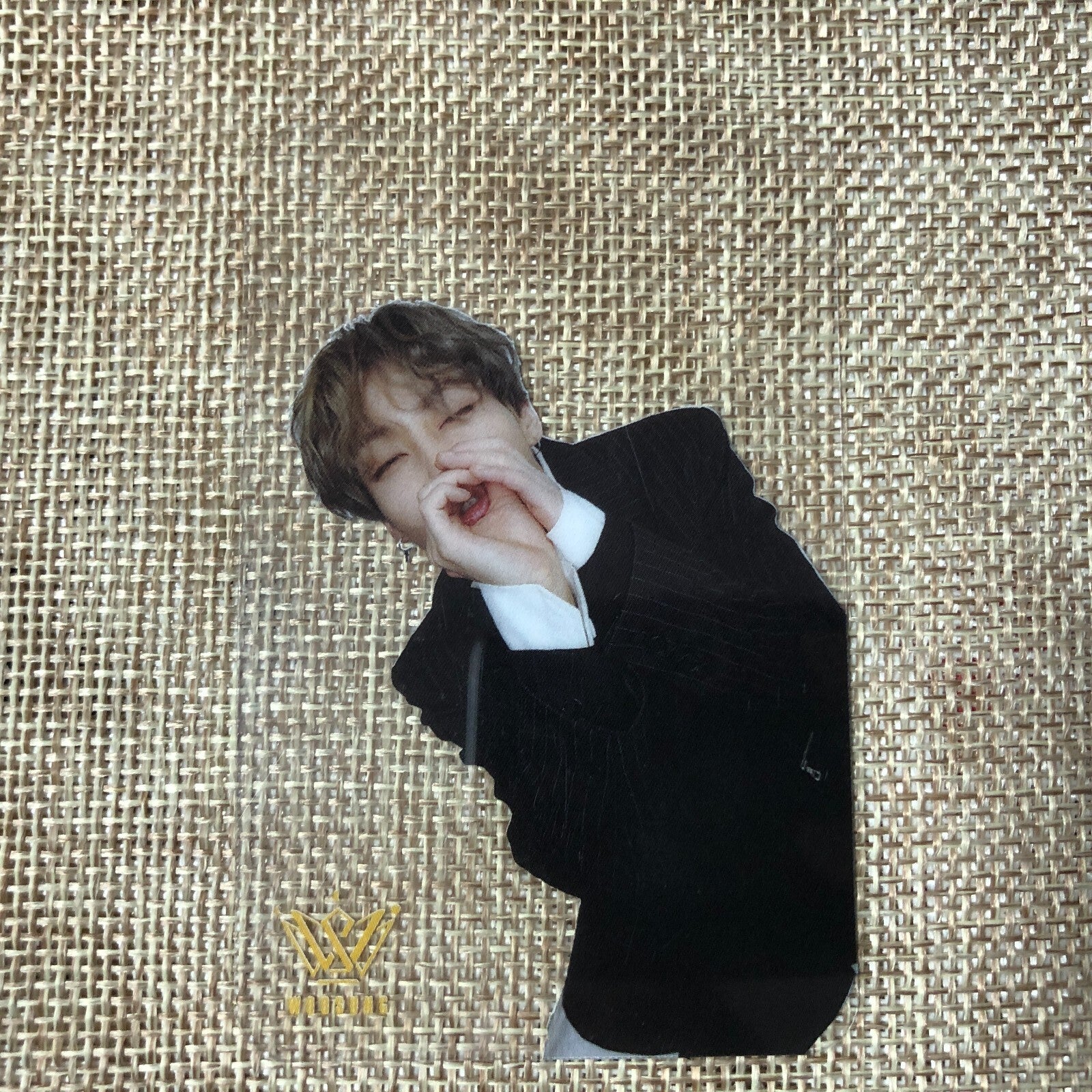 The Rose Kim Woo Sung [WOLF] Official Transparent Clear Photocard / New, Rare