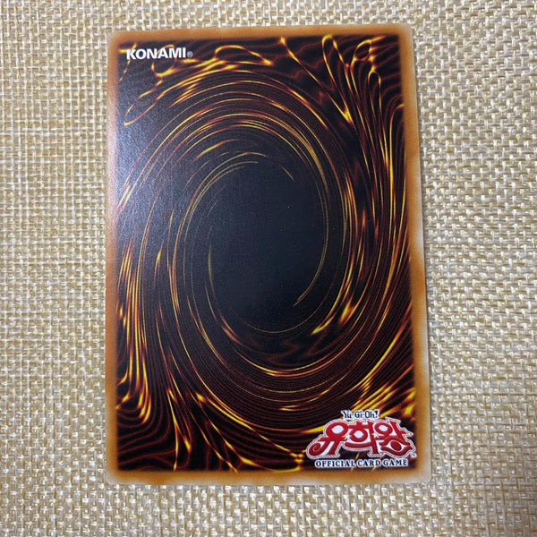 Yugioh Ten Thousand Dragon / ROTD-KR000 / 10000 Secret Rare Korean / Mint / Gift