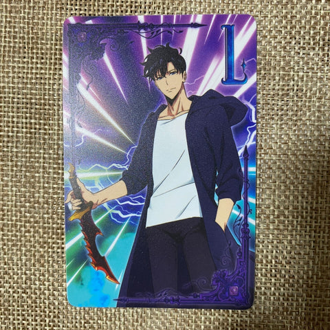 Solo Leveling Sung Jin-woo Card / Chess Game / Rare Official Collector Item /+G