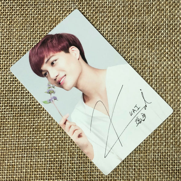 EXO KAI [ Nature Republic ] Official Limited Photocard, EXO-K / New / Gift
