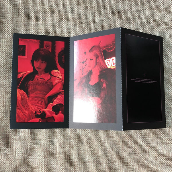 BLACKPINK GROUP [ THE SHOW DVD ] Official Accordion Book / New / Gift