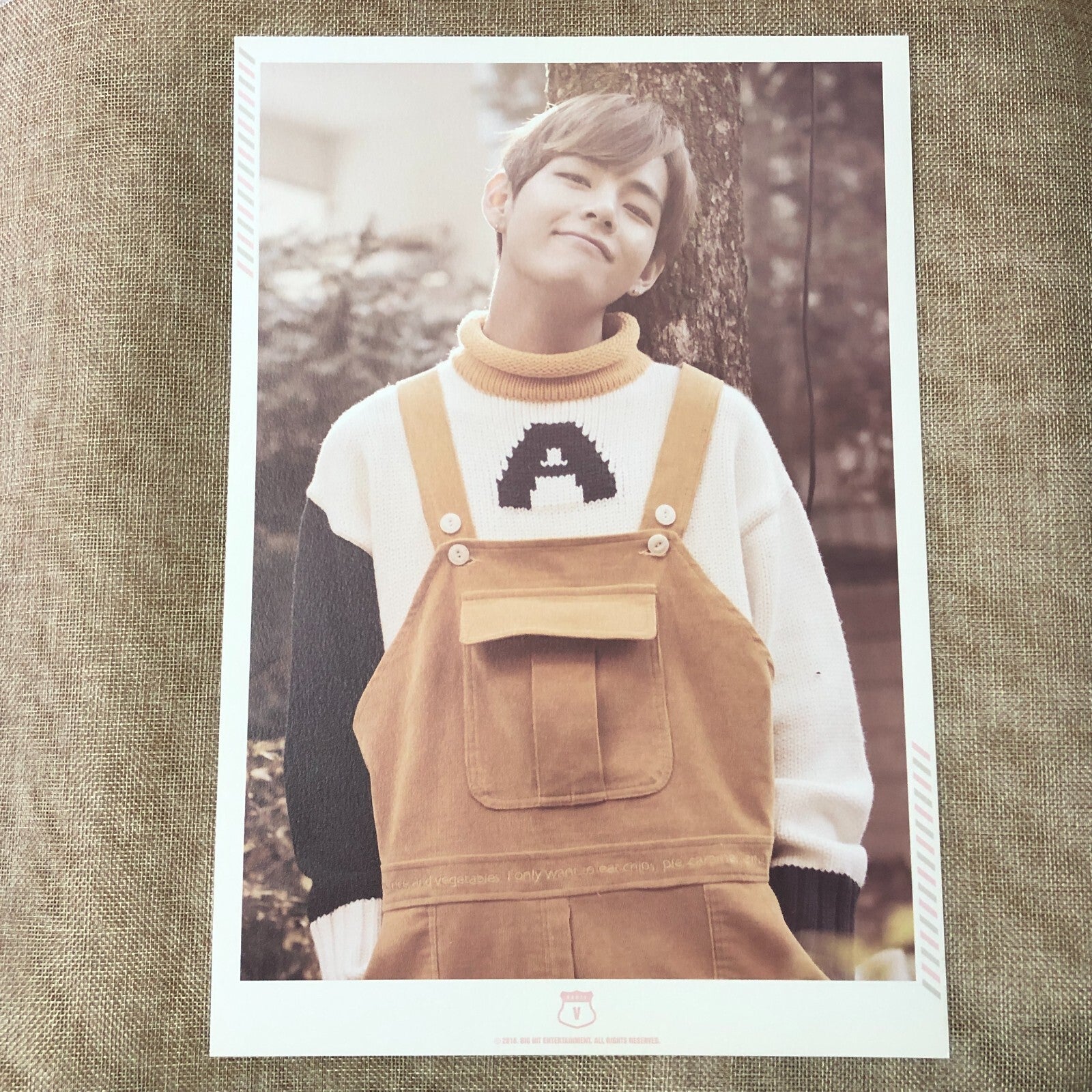 BTS V TAEHYUNG [ 2nd Muster ZIP CODE 22920 ] Official Mini Poster / New / Gift