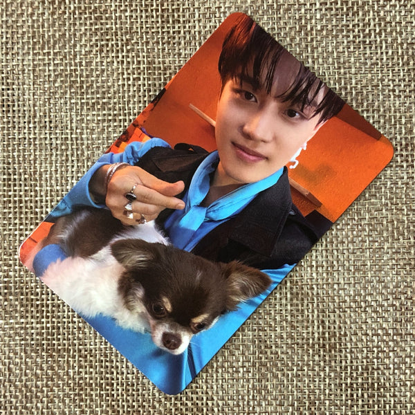 NCT 127 TAEIL [ STICKER ] Official Photocard, STICKER Ver. / New / Gift