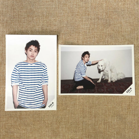 EXO XIUMIN [EXO-M Debut Pop Up Store Everysing] Postcard Set of 2, SM / Gift