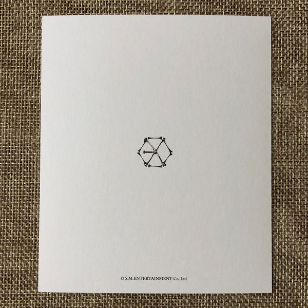 EXO KAI [ EX'ACT ] Official Polaroid Photocard Set of 2, Postcard / New / Gift