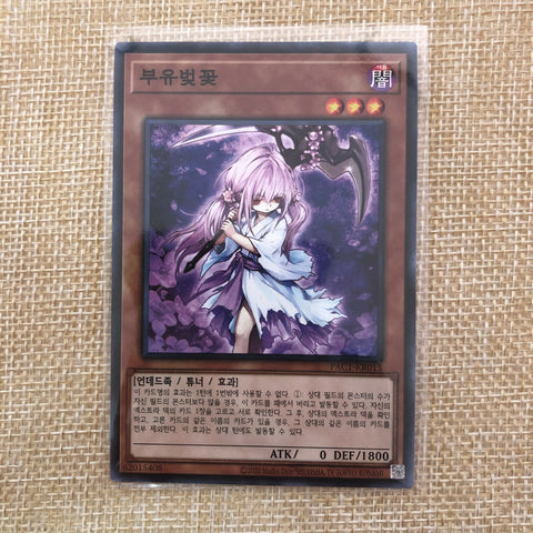 Yugioh Ghost Reaper & Winter Cherries / PAC1-KR015 / Parallel Rare Korean / New