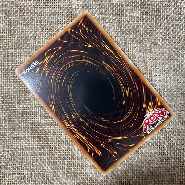 Yugioh Dark Magician Girl the Dragon / PAC1-KR023 / Prismatic Secret Rare / Gift