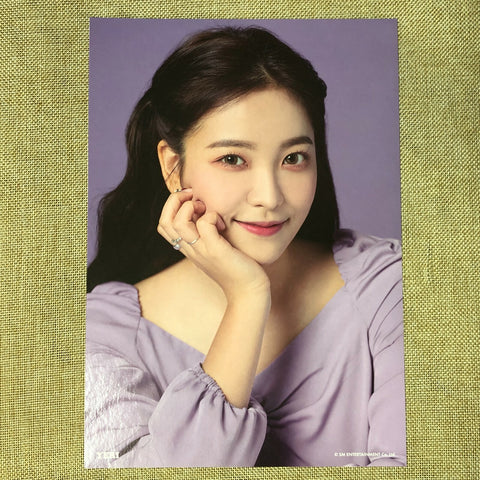 RED VELVET YERI #2 [ 2019 Season's Greetings ] Official A4 Poster / New / Gift