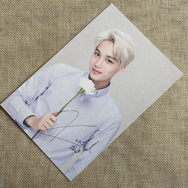 EXO KAI [Nature Republic] Official Limited Postcard Photocard / New, Rare / Gift