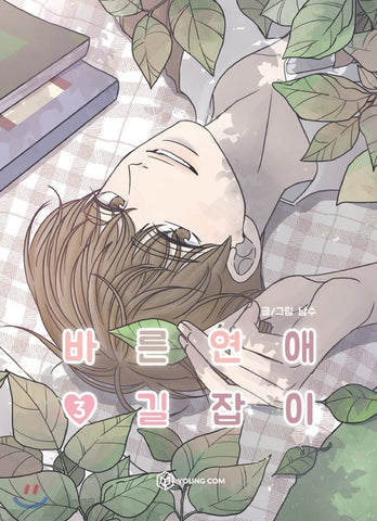 Romance 101 Vol 3 / Original Korean Webtoon Book Manhwa Comics / New / Gift