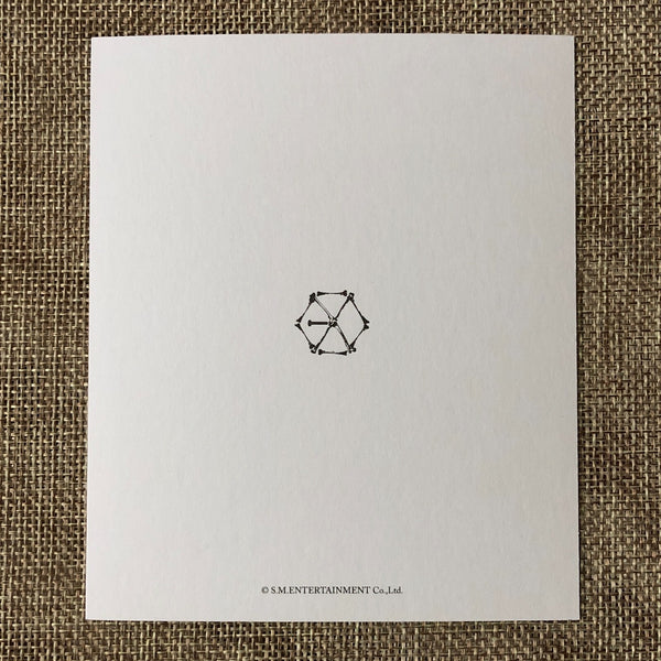EXO KAI [ EX'ACT ] Official Polaroid Photocard Set of 2, Postcard / New / Gift