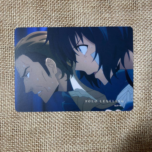 45276166