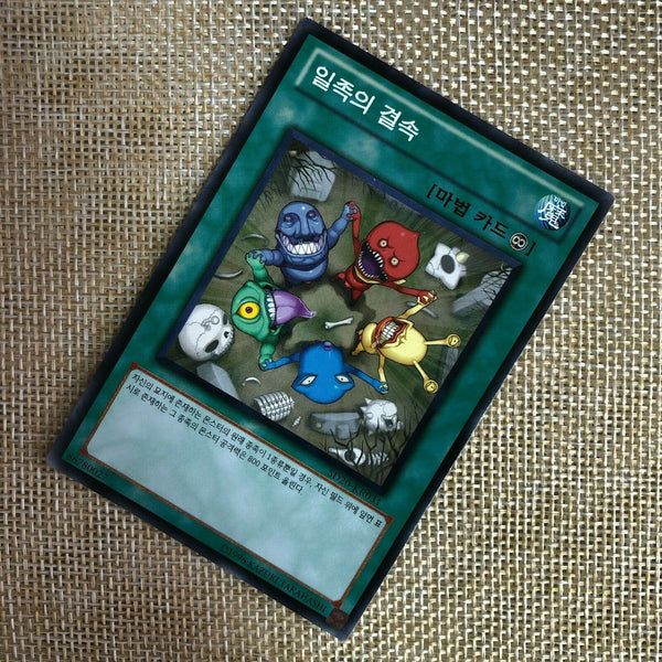 Yugioh Solidarity / SD20-KR031 / Common Rare / Korean / Mint / Gift