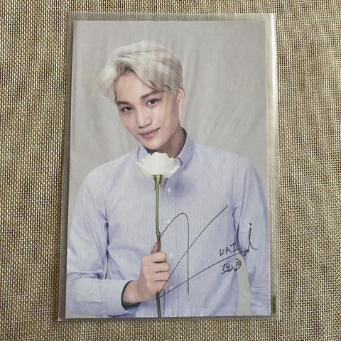 EXO KAI [Nature Republic] Official Limited Postcard Photocard / New, Rare / Gift