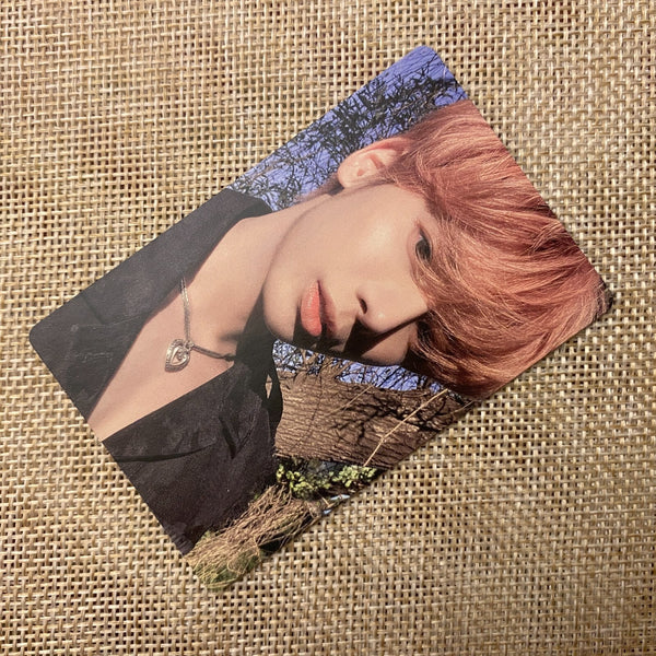 TXT TAEHYUN [The Name Chapter Temptation] Official Photocard, Daydream / Gift
