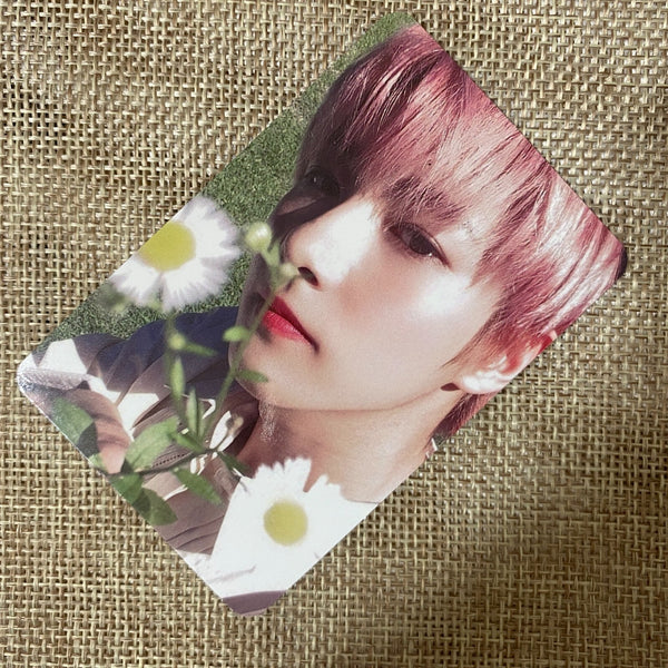 NCT DREAM RENJUN #3 [ CANDYLAB ] Official Photocard / New, Rare / Gift