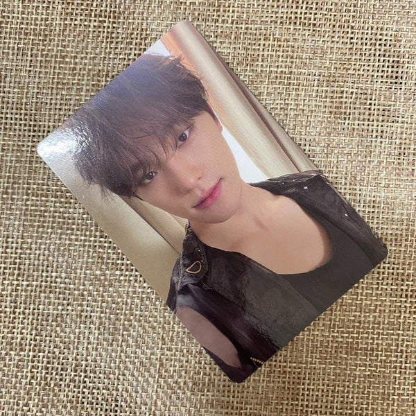 SEVENTEEN DINO [ Fight For My Life ] Official Photocard / New / Gift