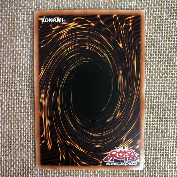 Yugioh Silent Swordsman LV5 1st Ed / DP17-KR017 / Common Parallel Rare / Korean