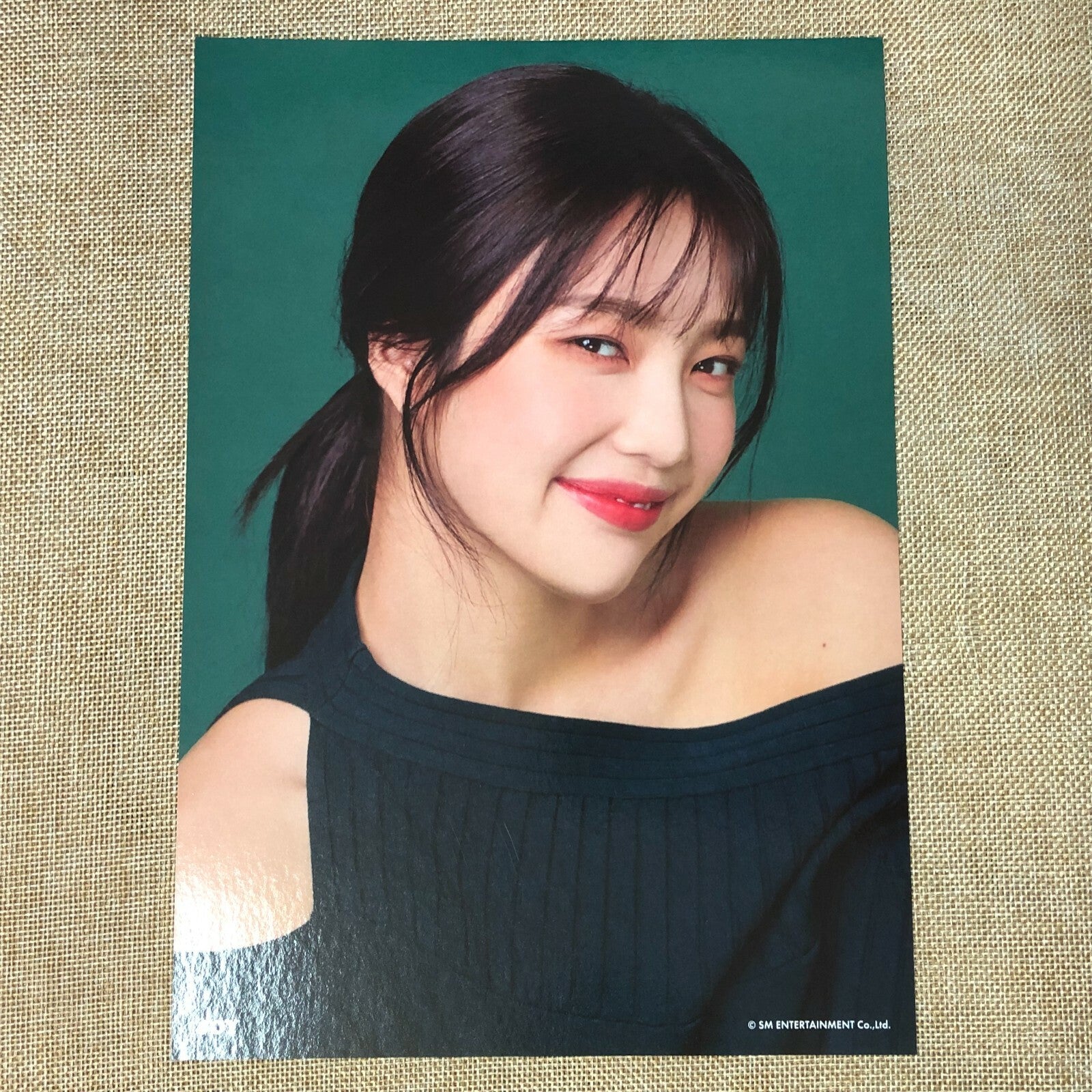 RED VELVET JOY #2 [ 2019 Season's Greetings ] Official A4 Poster / New / Gift