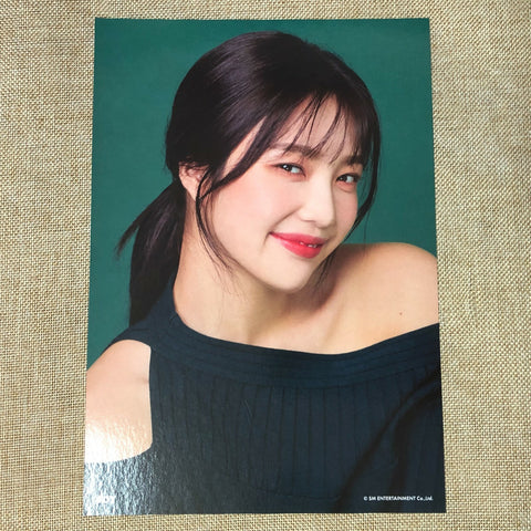 RED VELVET JOY #2 [ 2019 Season's Greetings ] Official A4 Poster / New / Gift