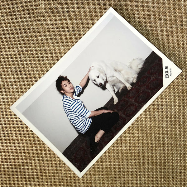 EXO XIUMIN [EXO-M Debut Pop Up Store Everysing] Postcard Set of 2, SM / Gift