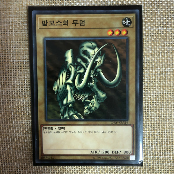 Yugioh Mammoth Graveyard / 15AY-KRA16 / Common Rare / Korean Ver / Mint / Gift