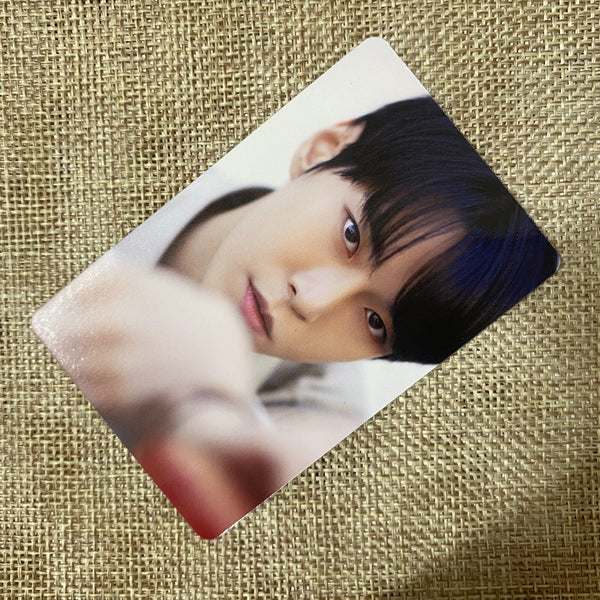 NCT 127 DOYOUNG #7 [2019 Dicon 101 Custom Book] Official Photocard / New / Gift
