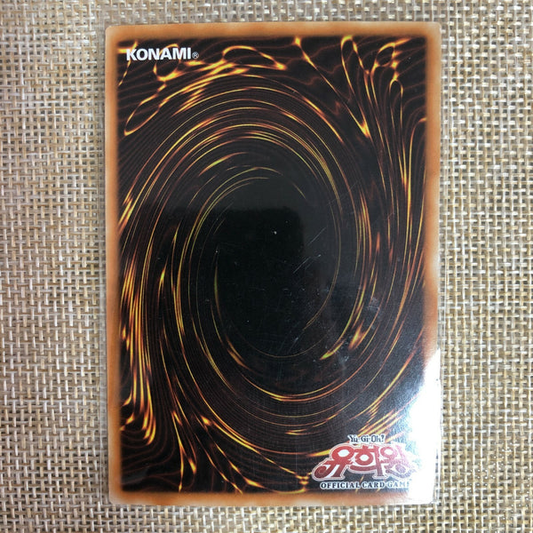 Yugioh Spell Absorption / SD6-KR027 / Common Rare / Korean Ver / Mint / Gift