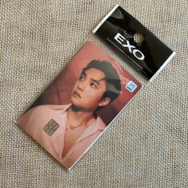 EXO D.O [ LOCA M ] Official Transportation Card Photocard, SMTOWN / New / Gift