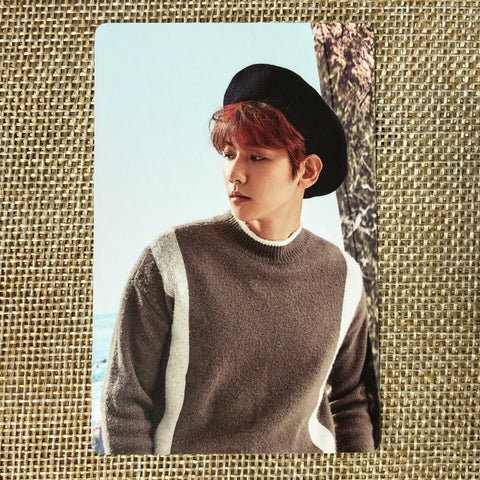 EXO BAEKHYUN [2017 Season's Greetings] Official Mini Calendar Photocard / Gift