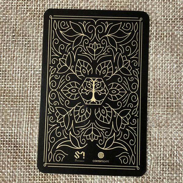 EXO XIUMIN [ ElyXion in Seoul DVD ] Official Photocard / New / Gift