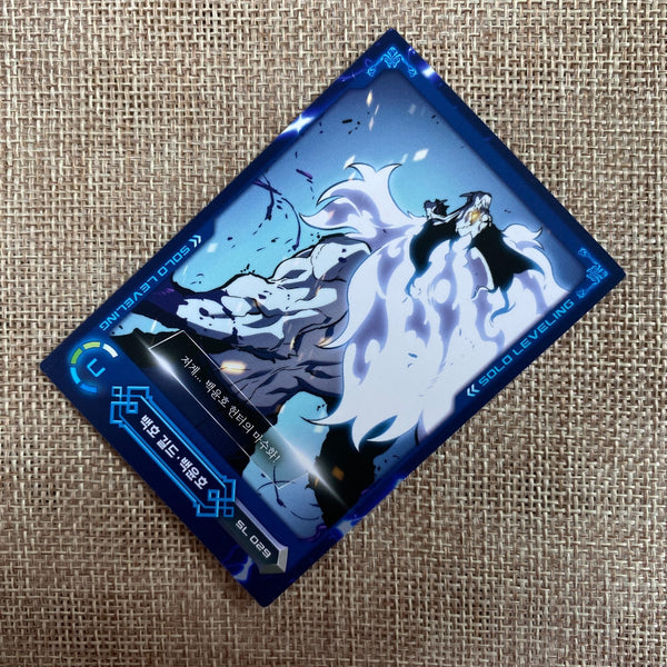 Solo Leveling SL 029 U Card | Korean Webtoon | Official D&C Media | New, +Gift