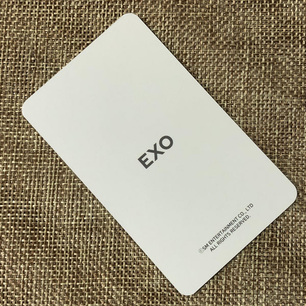 EXO BAEKHYUN [ 2019 Season's Greetings ] Official Limited Photocard / New / Gift