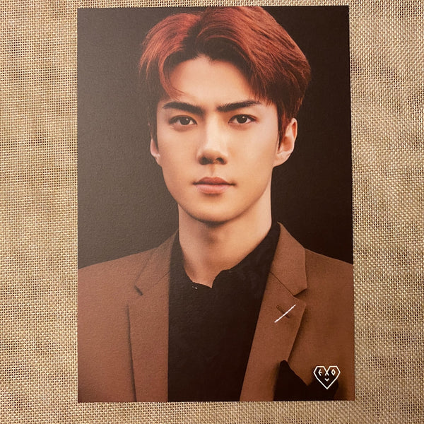 EXO GROUP [Official Fanclub EXO-L Welcome Kit] Official Holder Photo Poster Set