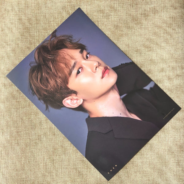 EXO CHEN [ 2019 Season's Greetings ] Official A4 Poster / New / Gift