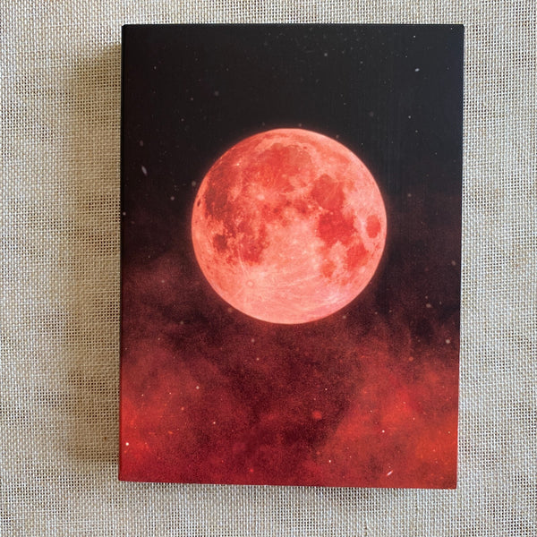 BTS JIN [ Master DVD APPLE TAPE RED MOON 2019-20 ] 6 DVD CD / New, Rare / Gift