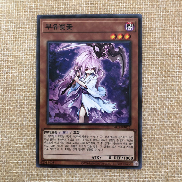 Yugioh Ghost Reaper & Winter Cherries / PAC1-KR015 / Parallel Rare Korean / New