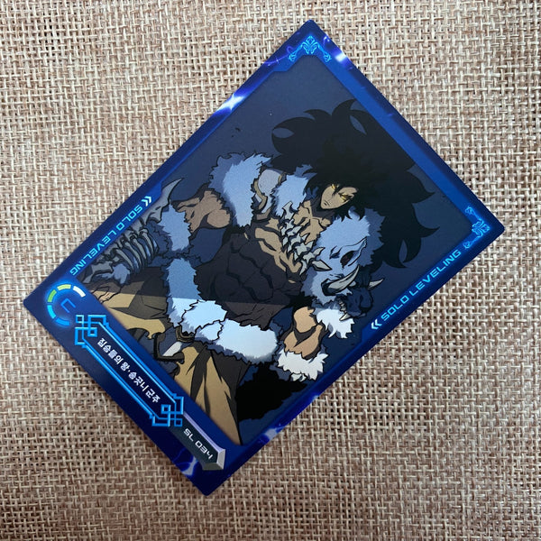 Solo Leveling SL-034 C Card | Korean Webtoon | Official D&C Media | New, +Gift