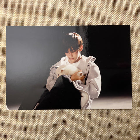 BTS V #14 [ Oh, Always Exhibition ] Official Live Photo Photocard / New / Gift