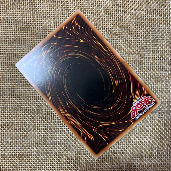 Yugioh Dark Magician Alt / PAC1-KR004 / Super Rare Korean / New / Gift