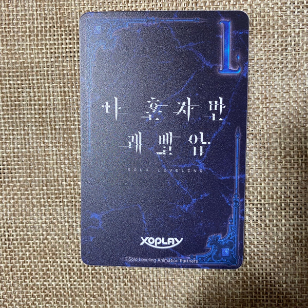 Solo Leveling Sung Jin-woo Card / Chess Game / Rare Official Collector Item /+G