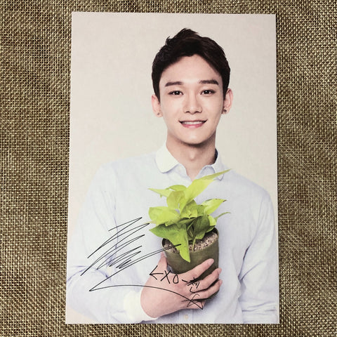 EXO CHEN [ Nature Republic ] Official Limited Postcard / New / Gift