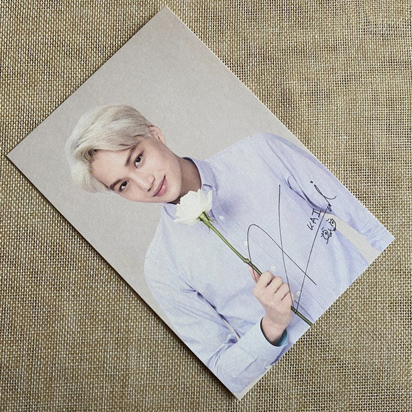 EXO KAI [Nature Republic] Official Limited Postcard Photocard / New, Rare / Gift