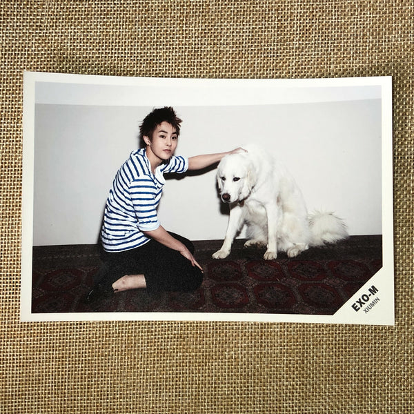 EXO XIUMIN [EXO-M Debut Pop Up Store Everysing] Postcard Set of 2, SM / Gift