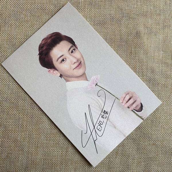 EXO CHANYEOL [Nature Republic] Official Limited Postcard Photocard / New, Rare